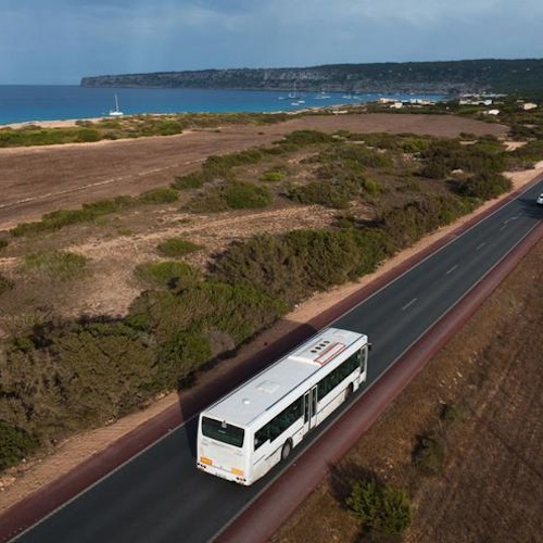 formentera-buses-public