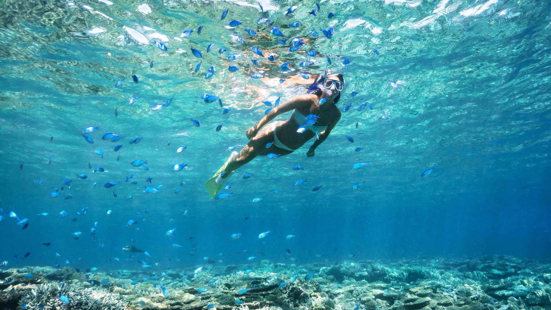 formentera boat trip from ibiza