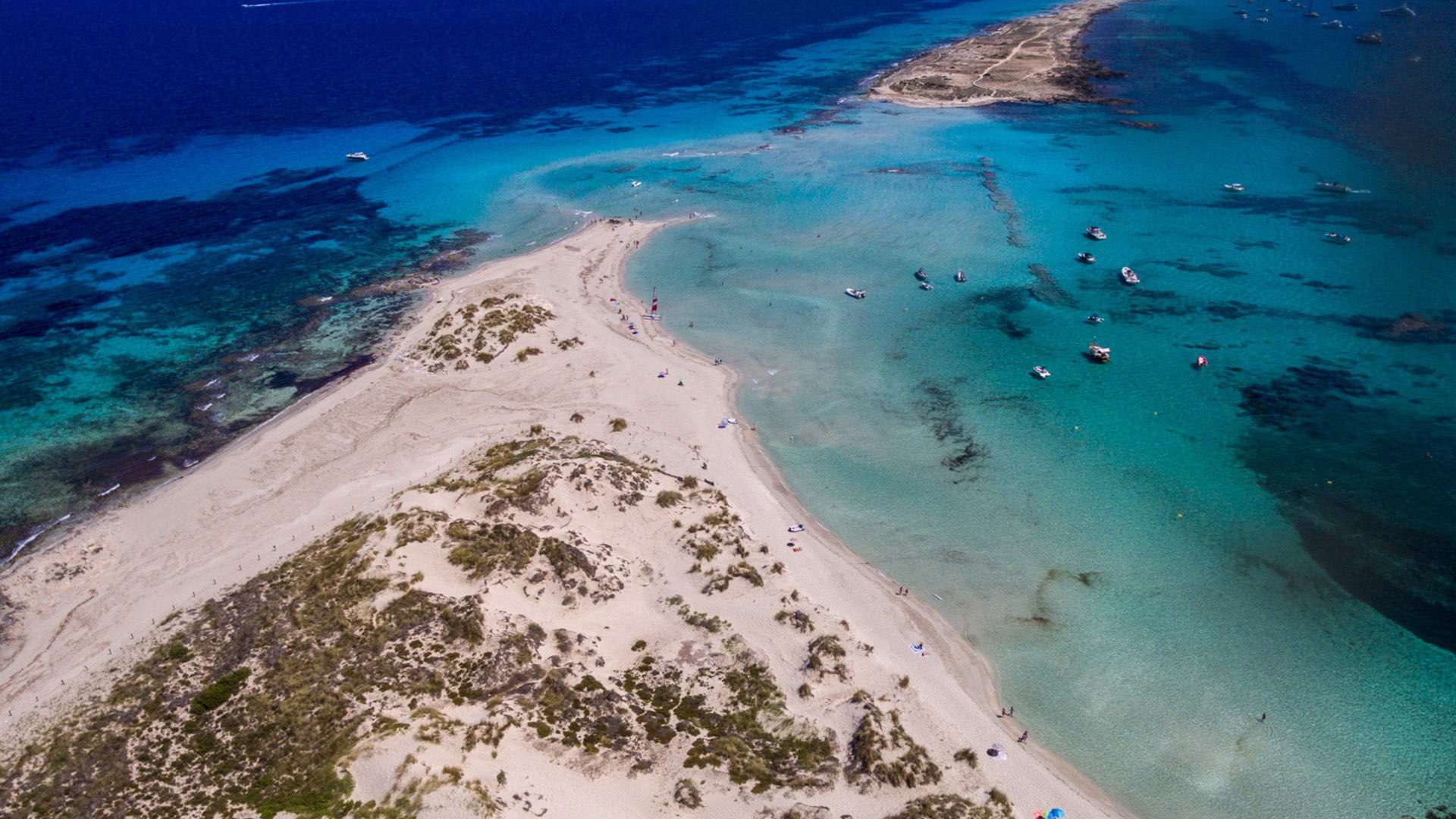 formentera boat trip from ibiza