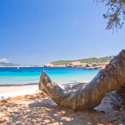 cala-bassa-playa-ibiza